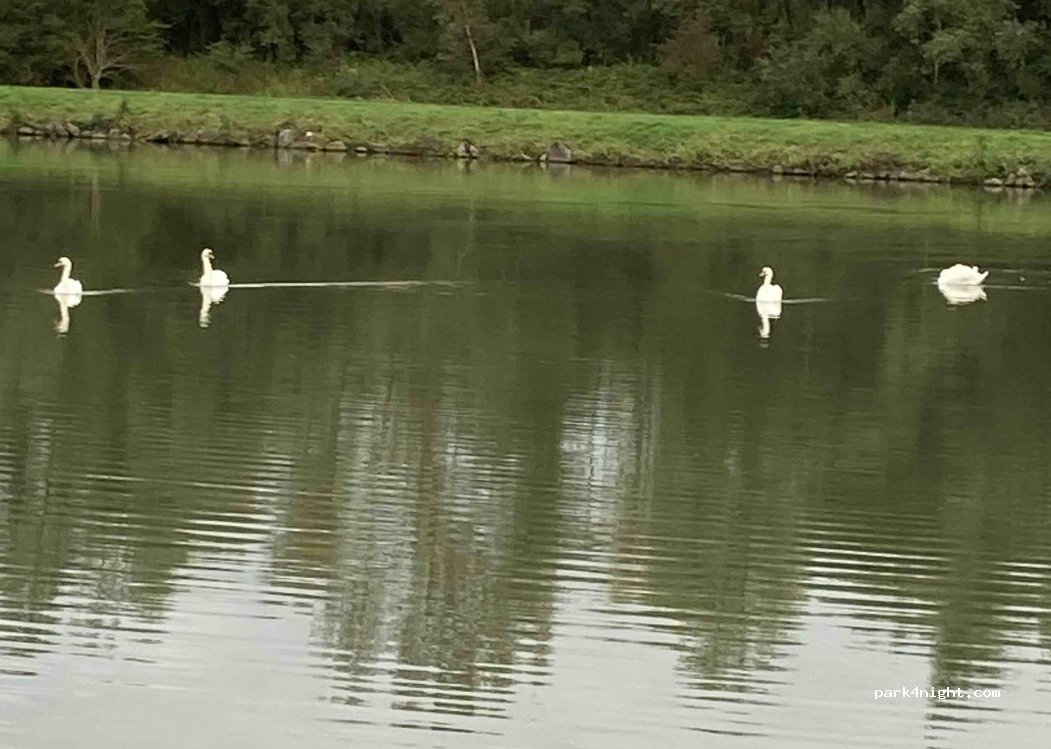 Camping du Colvert — foto