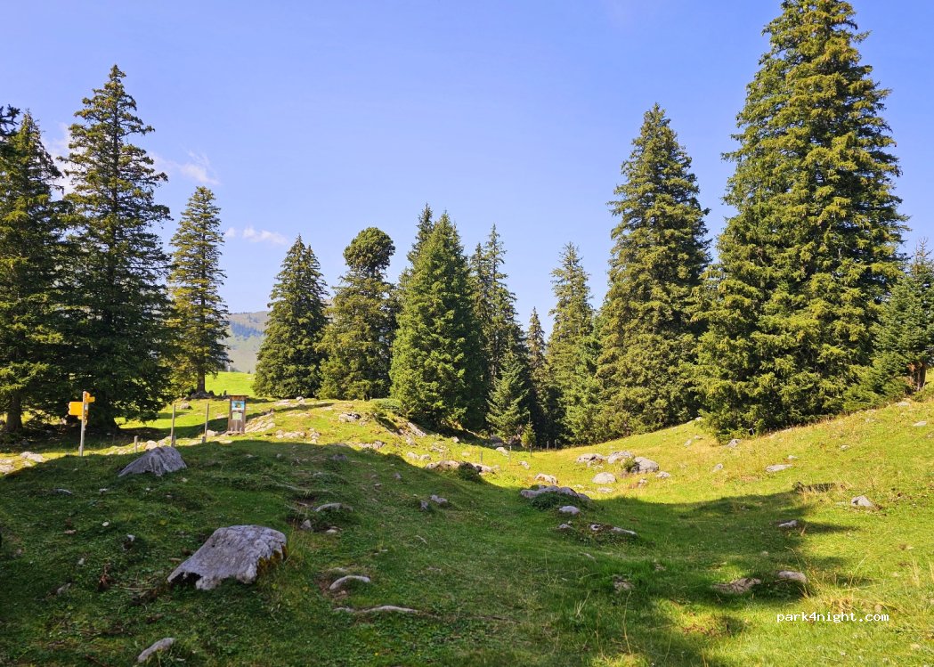 (6072) Sachseln - Aelggi — foto 2