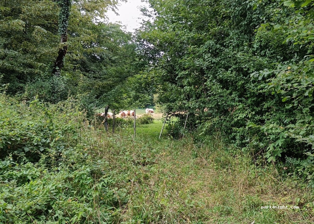 (39210) Baume-les-Messieurs - — foto 2