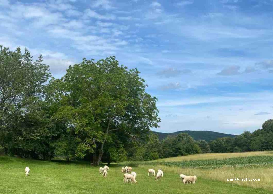 (47303) Vajin Vrh - Unnamed Road — foto 4