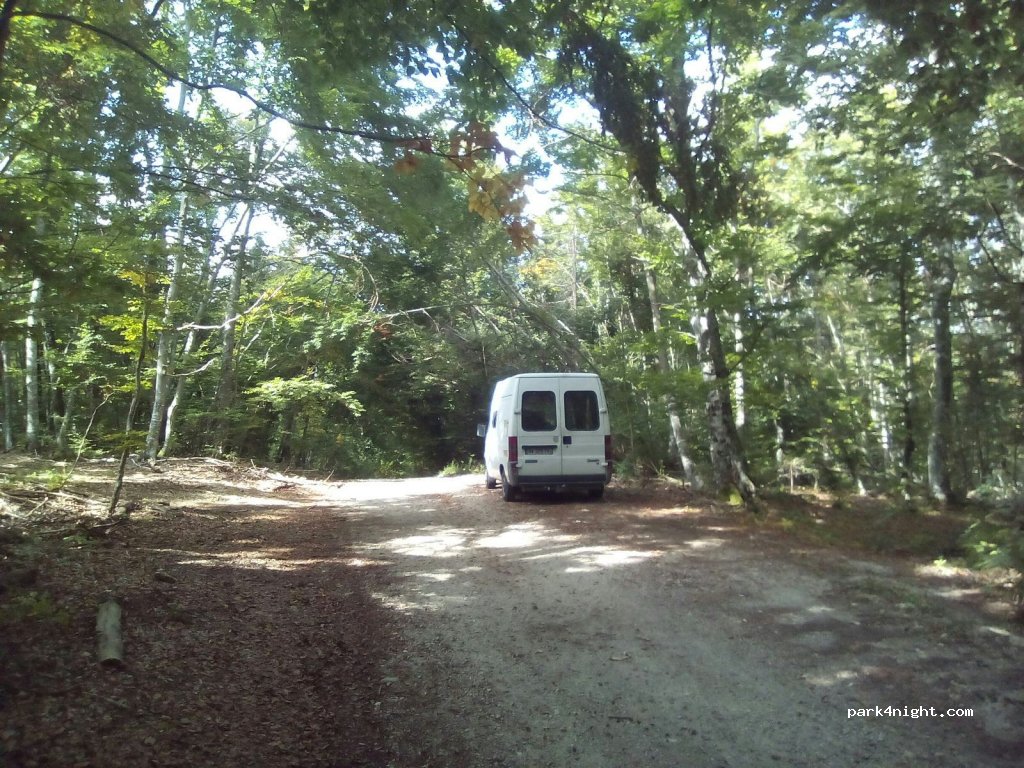 (1384)  - Podlož — foto