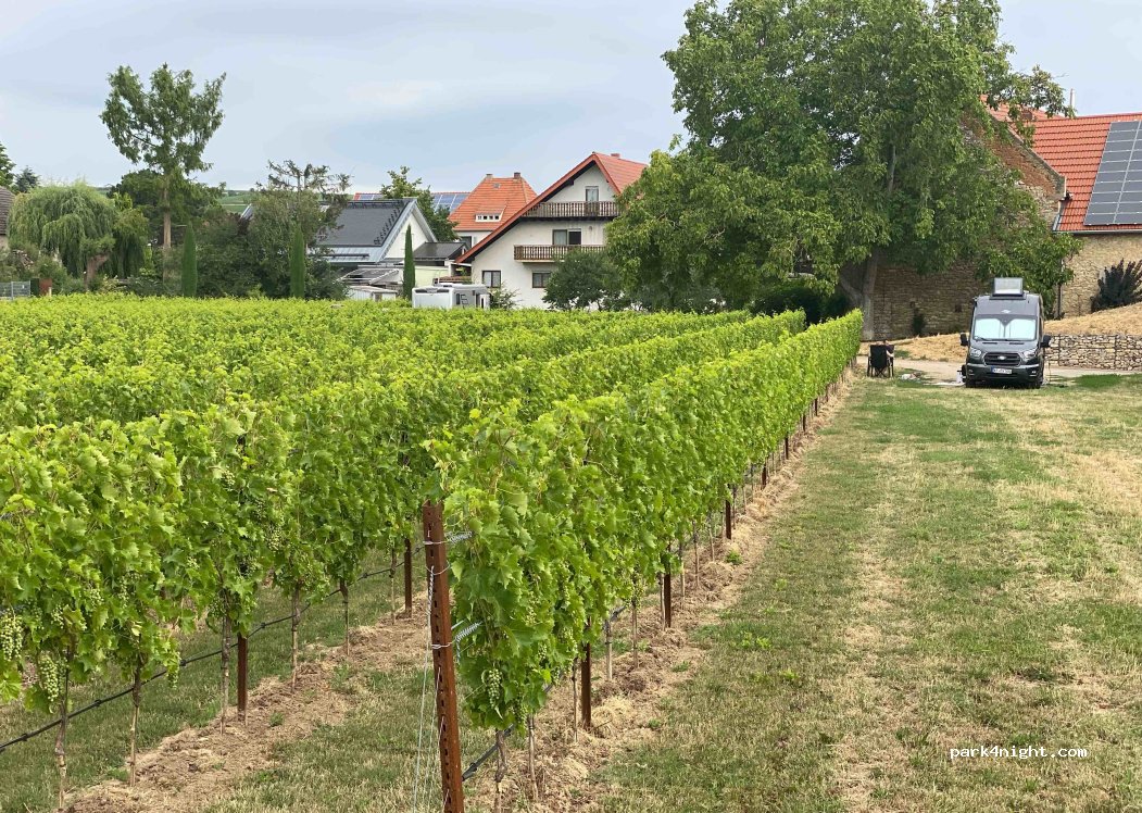 Weingut Dreihornmühle — foto 2