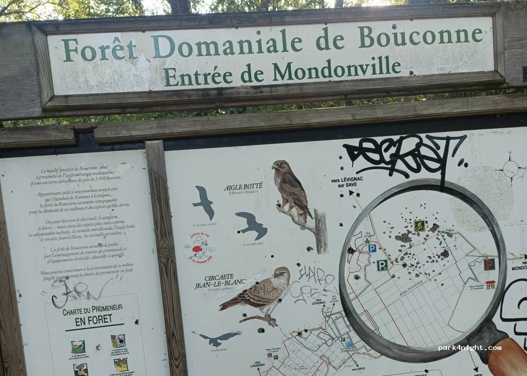 (31700) Mondonville - — foto 2
