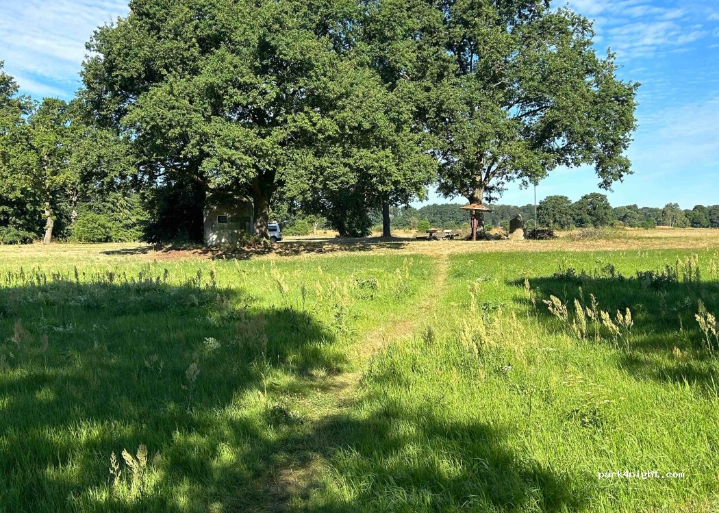 (02829) Neißeaue - Unnamed Road — foto