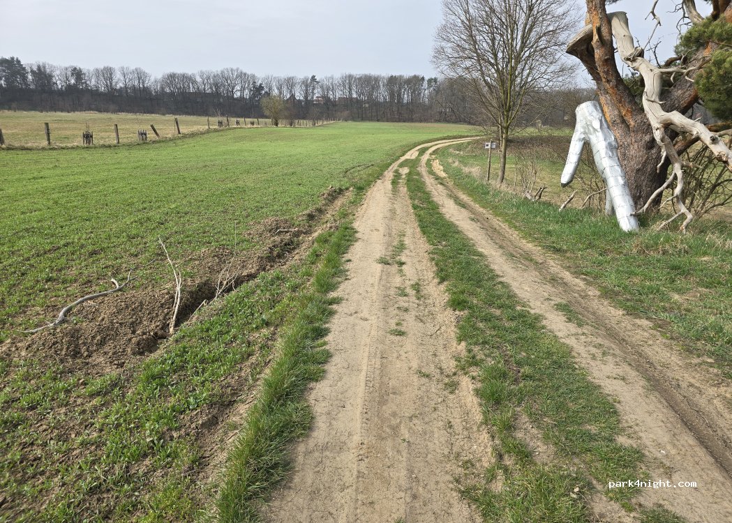 (02829) Neißeaue - Unnamed Road — foto 3