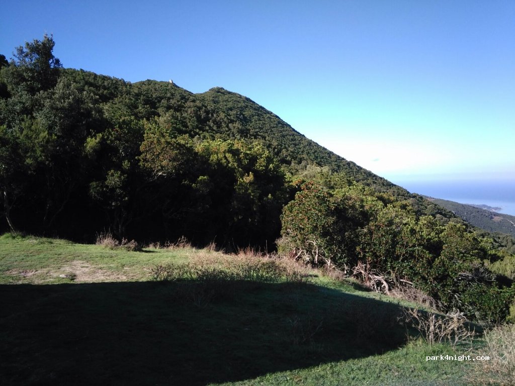 (20151) Cannelle - D1 — foto 3