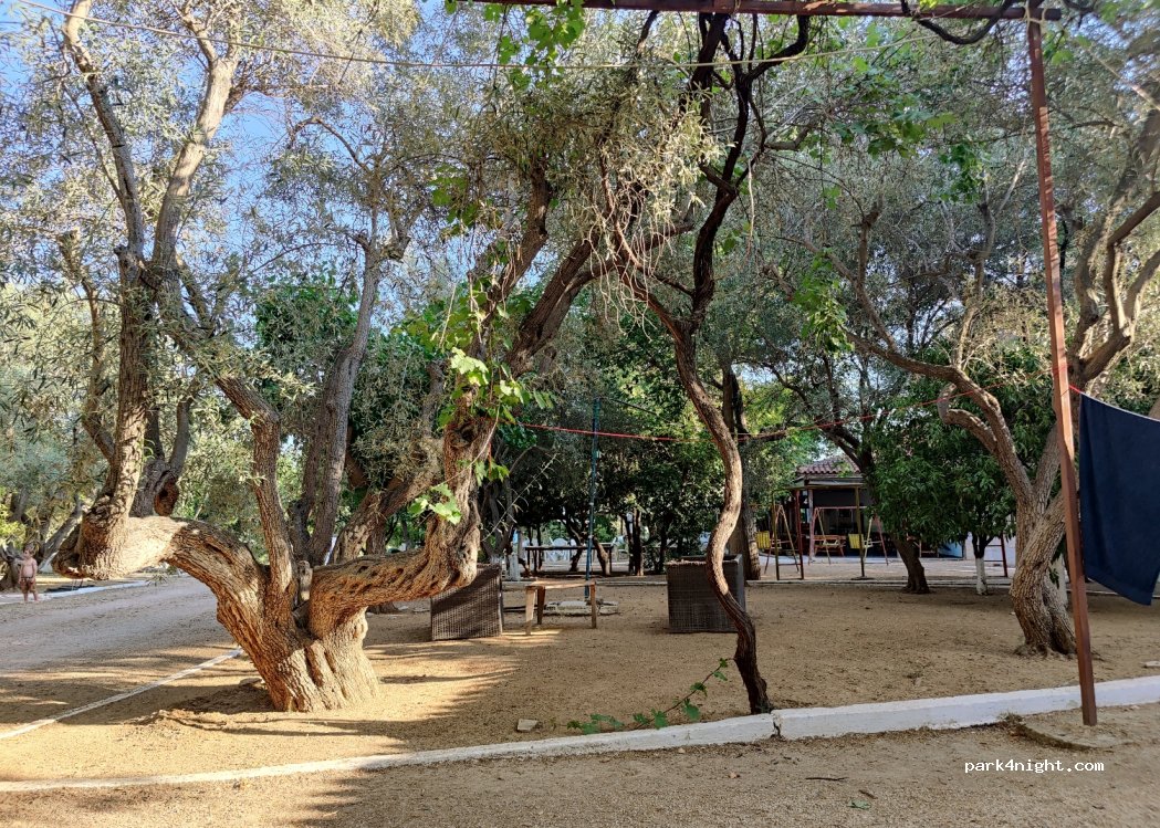 Camping — foto 4