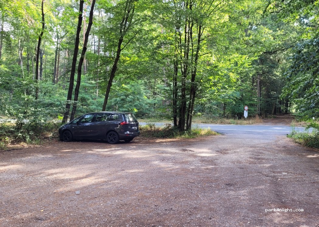 (63303) Dreieich - 459 — foto