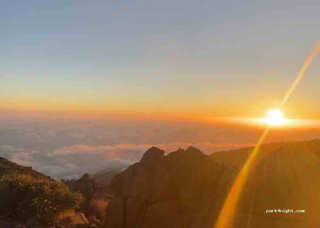 (38728) Roque del Faro - LP-4 — foto