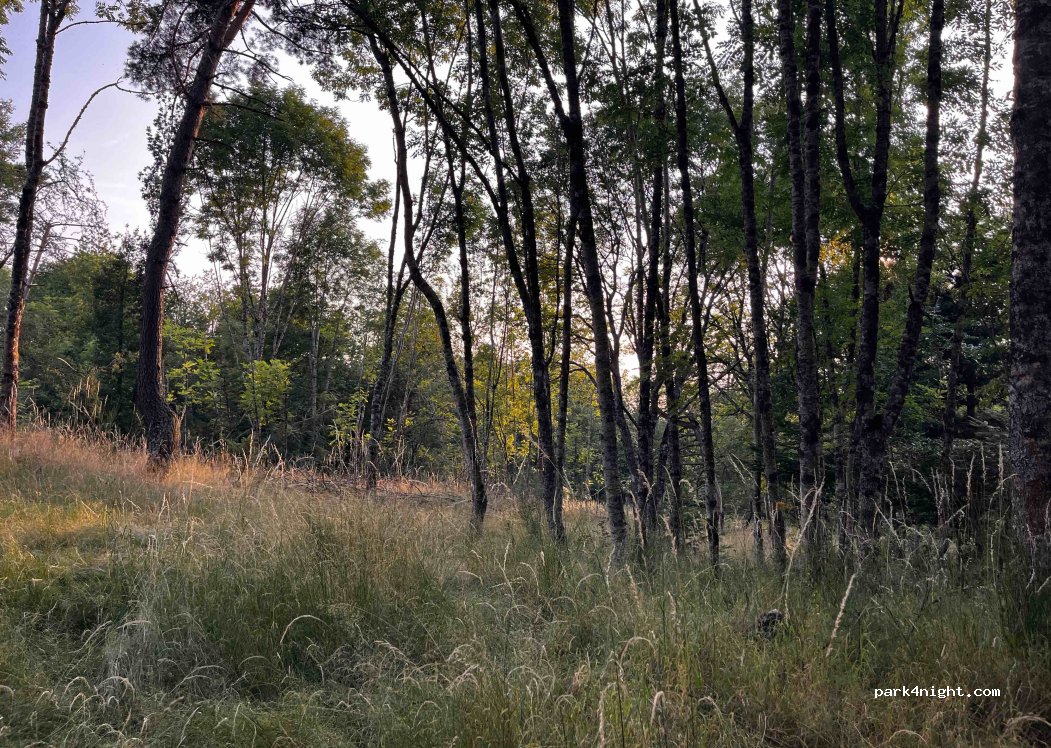 (30750) Saint-Sauveur-Camprieu - Unnamed Road — foto