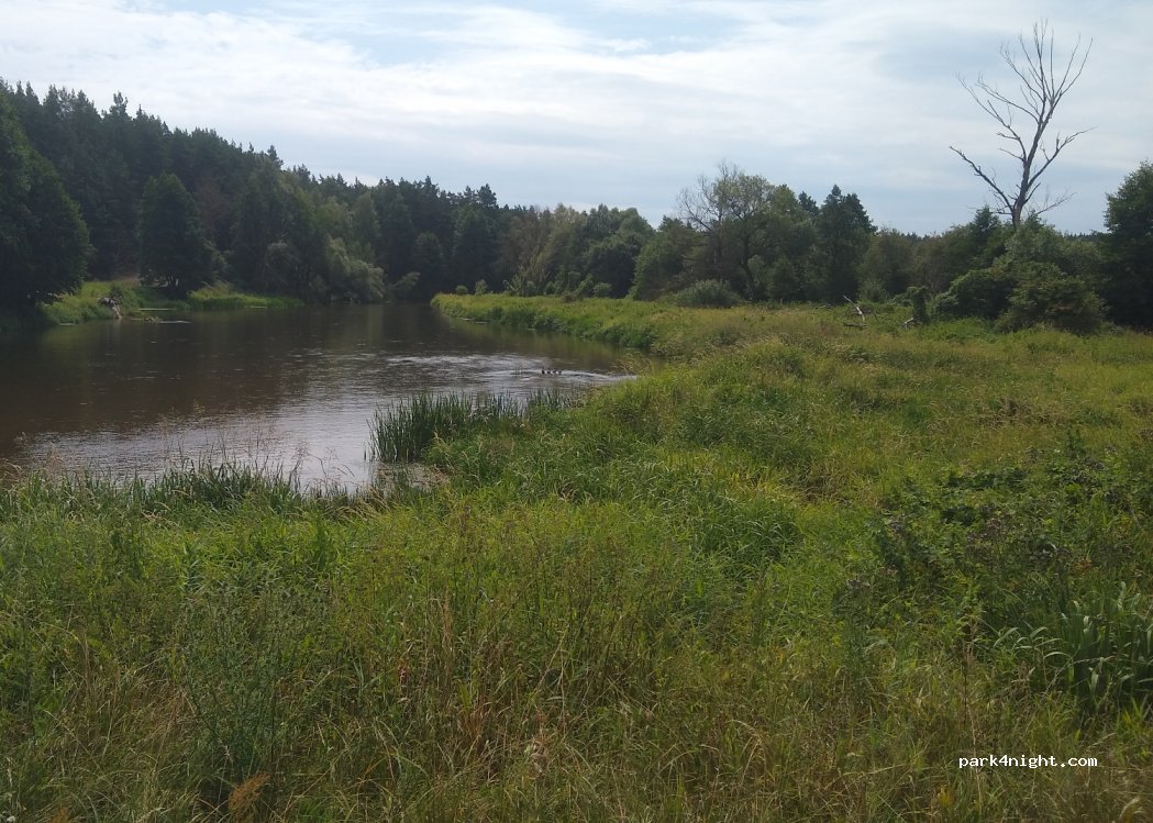(98-313) Konopnica - — foto