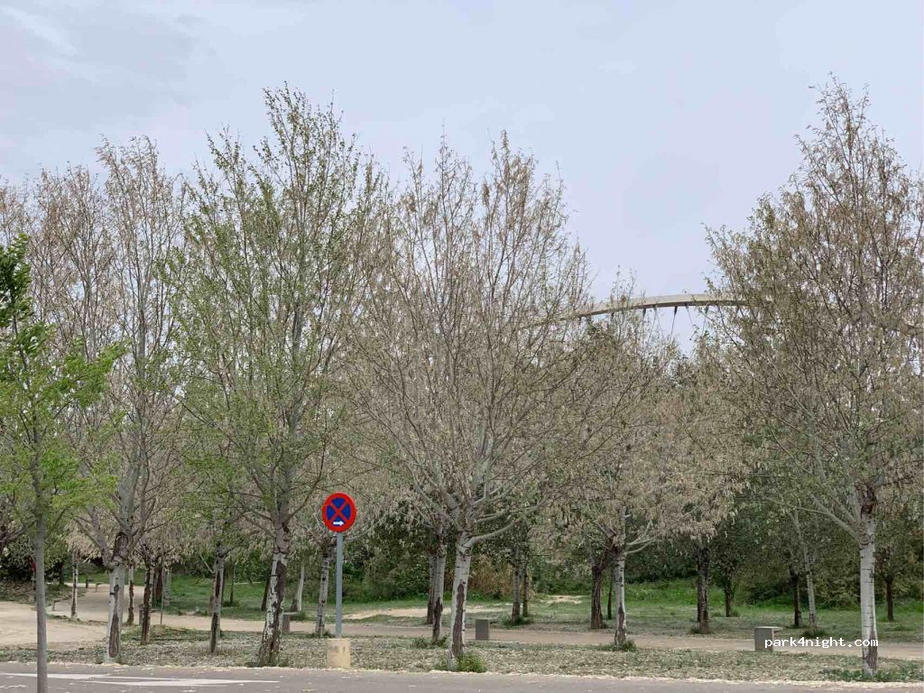 (50003) Zaragoza - Salidas Ciudad — foto 2