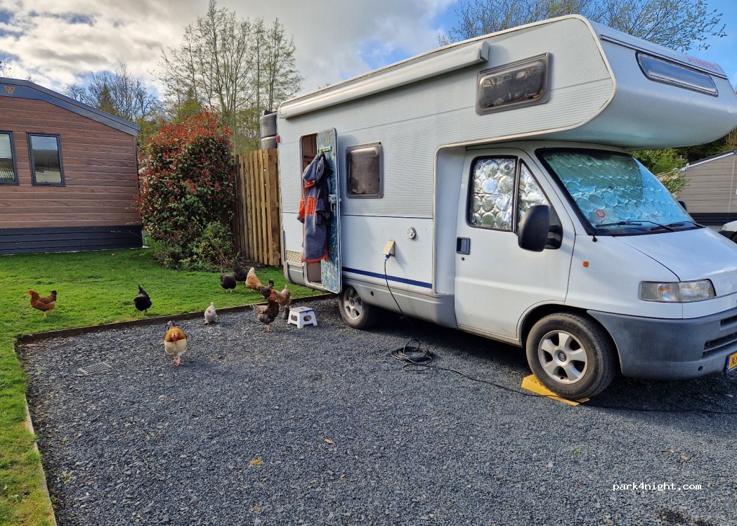 Riverside Caravan Park — foto 2
