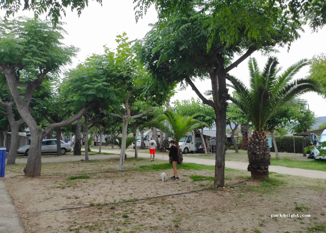 Camping & Bungalows Estanyet — foto 4