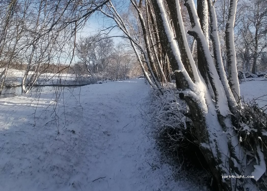 Būro kiemas — foto 4