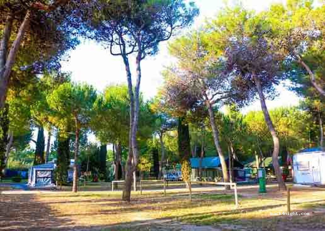 Salinello Camping Village — foto 3