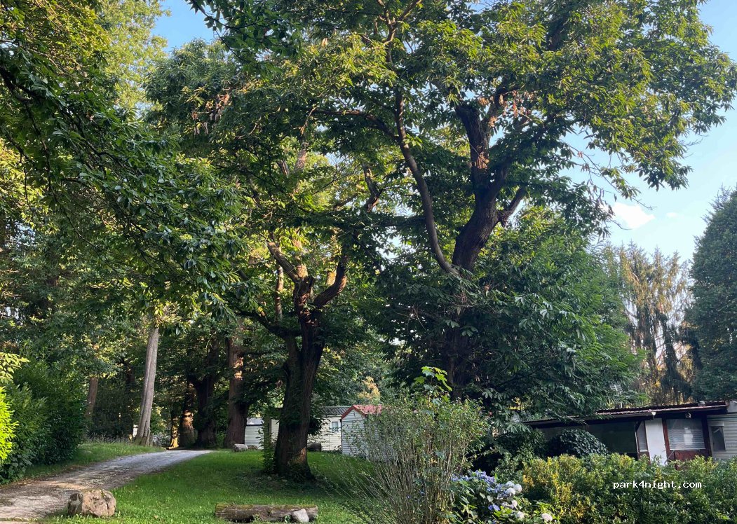 Camping Le Rural — foto