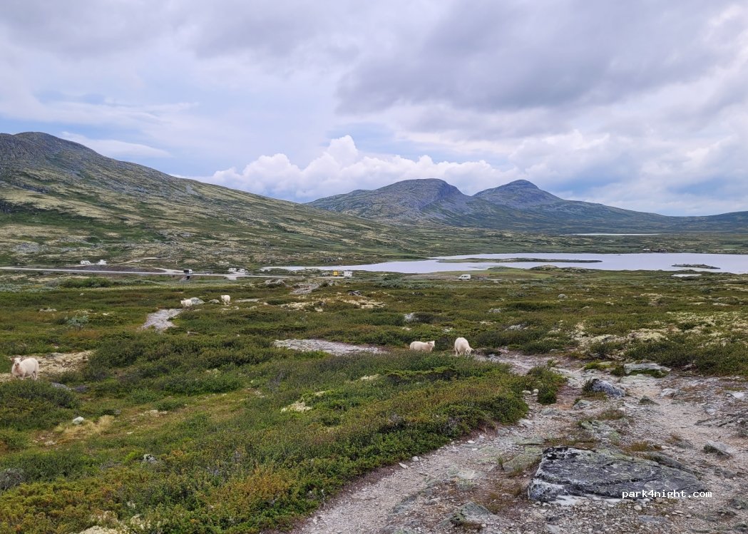 (2632) Venabygd - Unnamed Road — foto 2