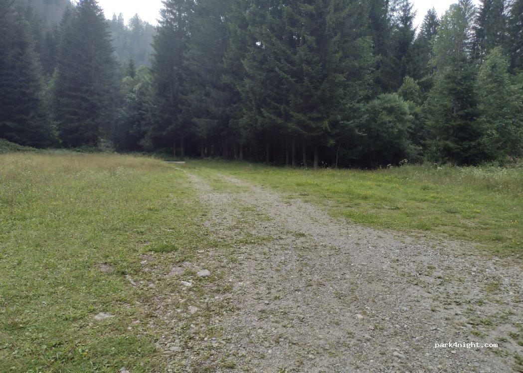 (9653) Liesing - — foto