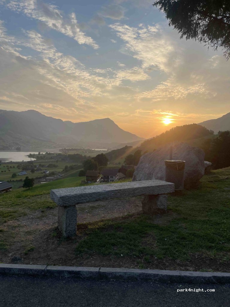 (6423) Schwyz - Bohl — foto 3