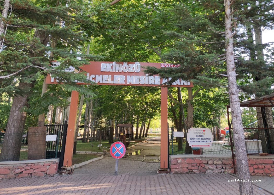 (46360) Ekinözü - 5 Defne Sokak — foto 3