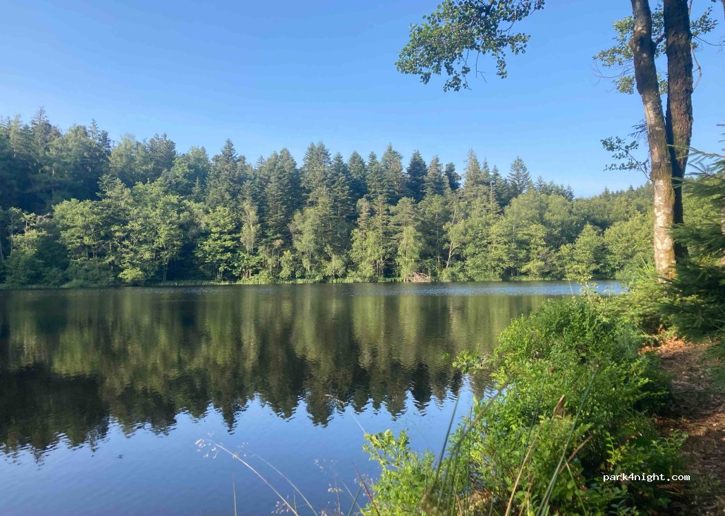 (88340) Girmont-Val-d'Ajol - 10 Les Faignes Noires — foto 4