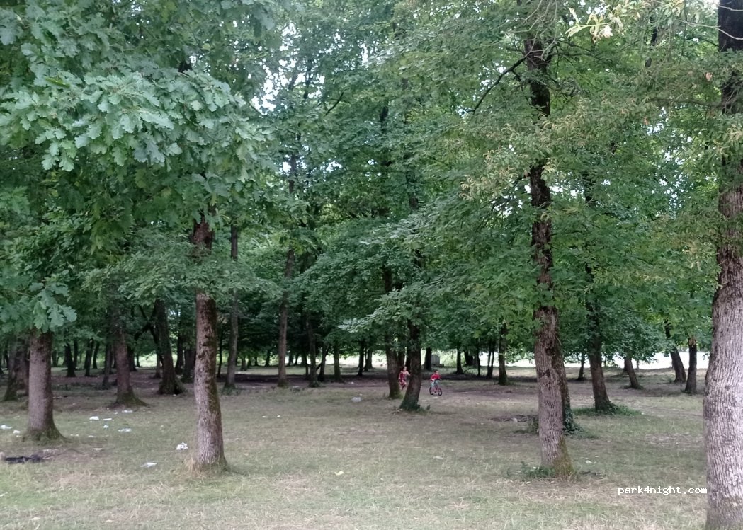 (81100) Altınpınar - Düzce Atatürk Devlet Hastanesi — foto
