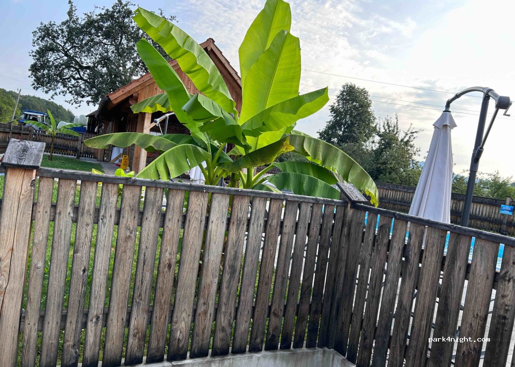 Tourist Farm Pri Martinovih — foto 4