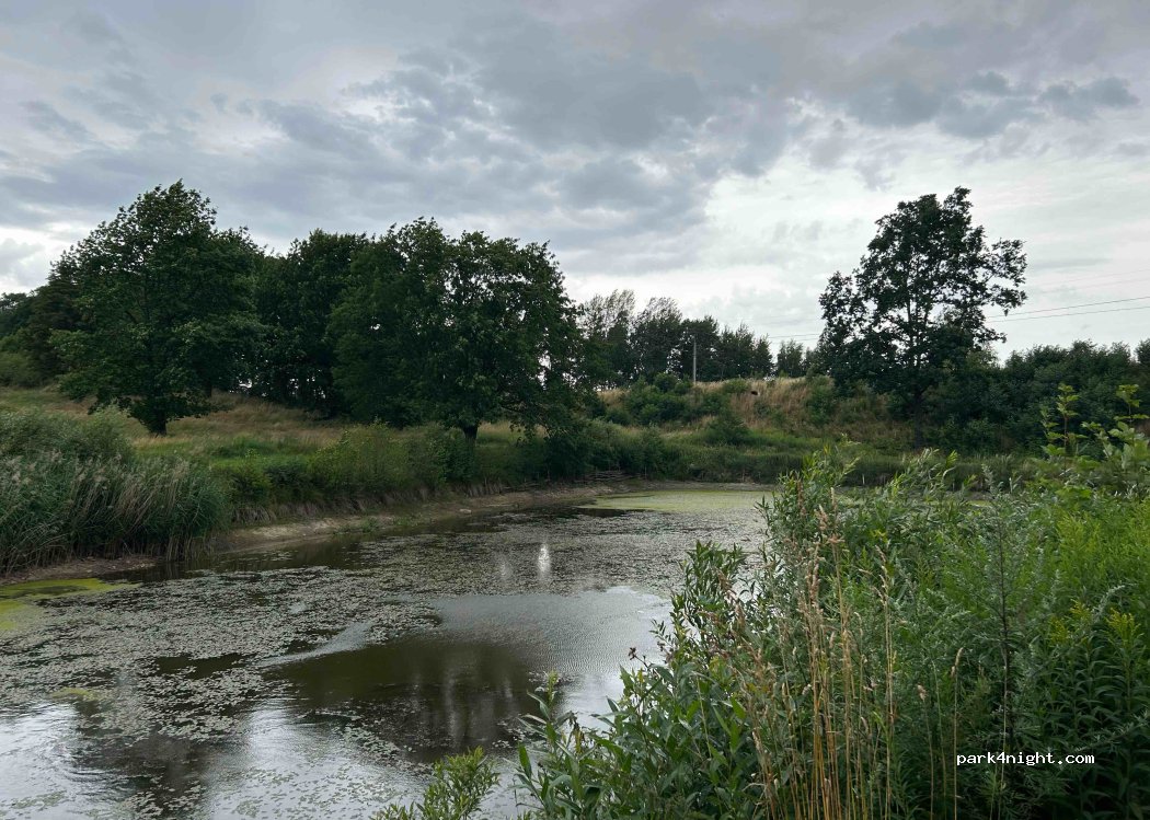 (58-512) Rybnica - — foto 2