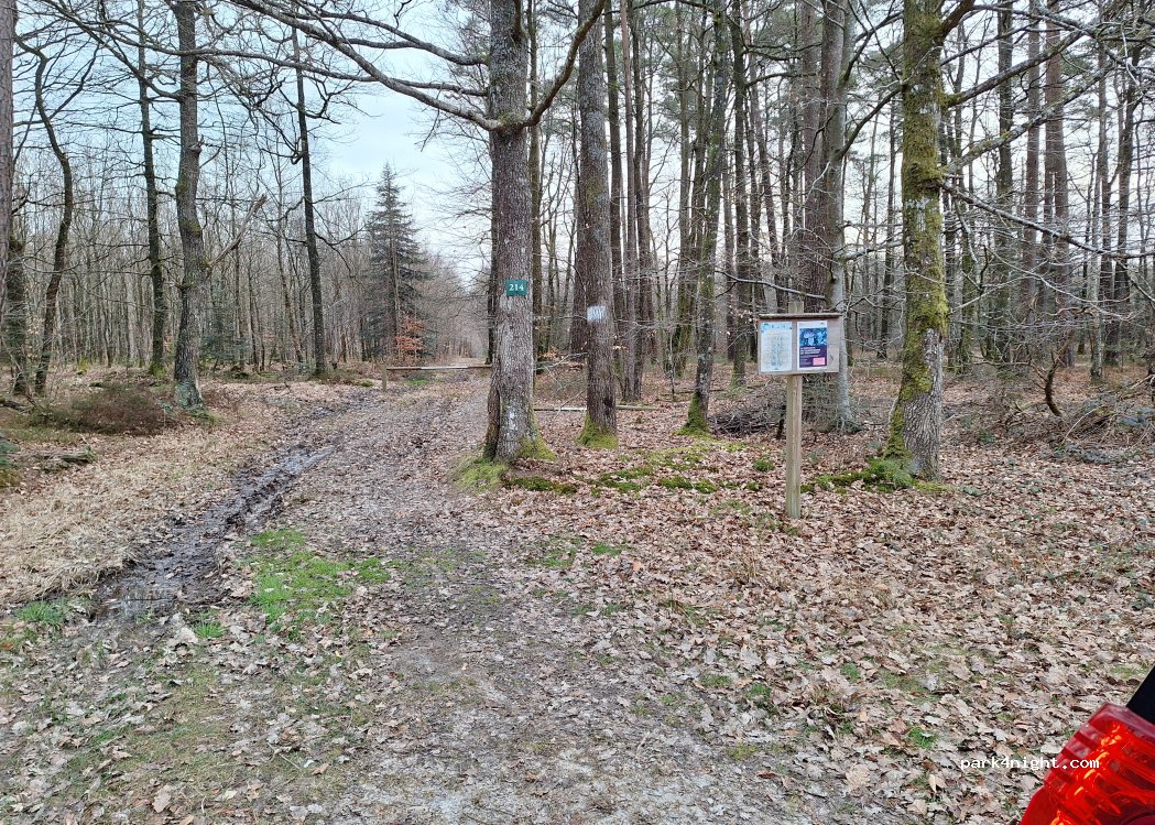 (61190) Tourouvre au Perche - — foto 3