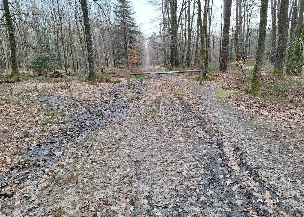 (61190) Tourouvre au Perche - — foto 4