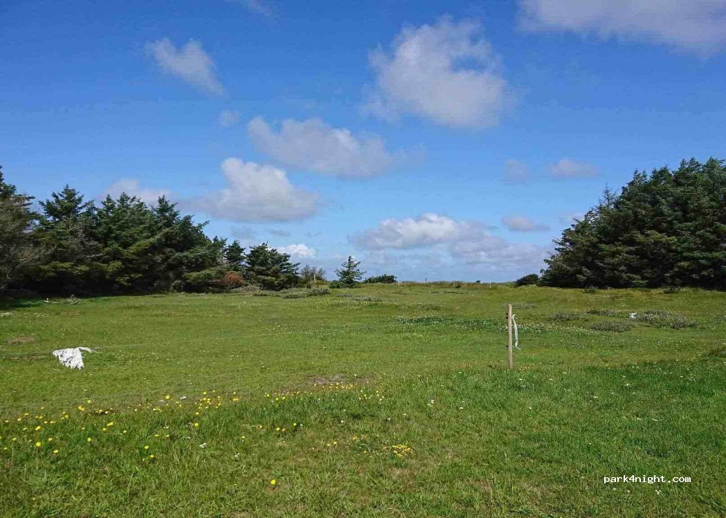 (7700) Thisted - 135 Klitmøllervej — foto 3