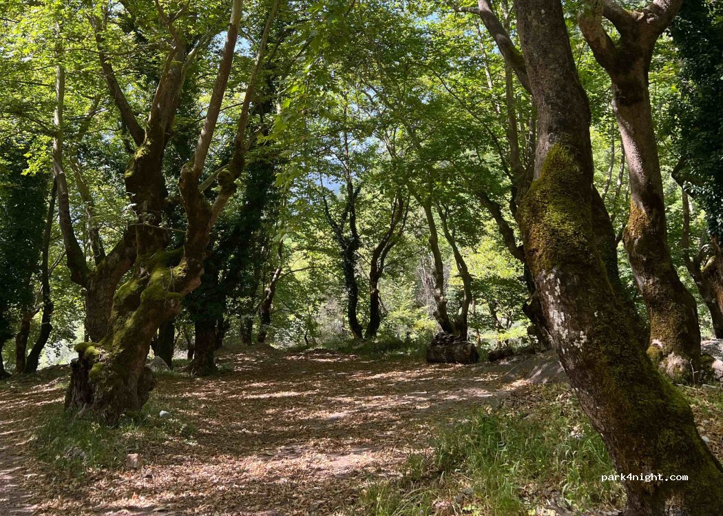 (360 71) Ag. Dimitrios - — foto 3