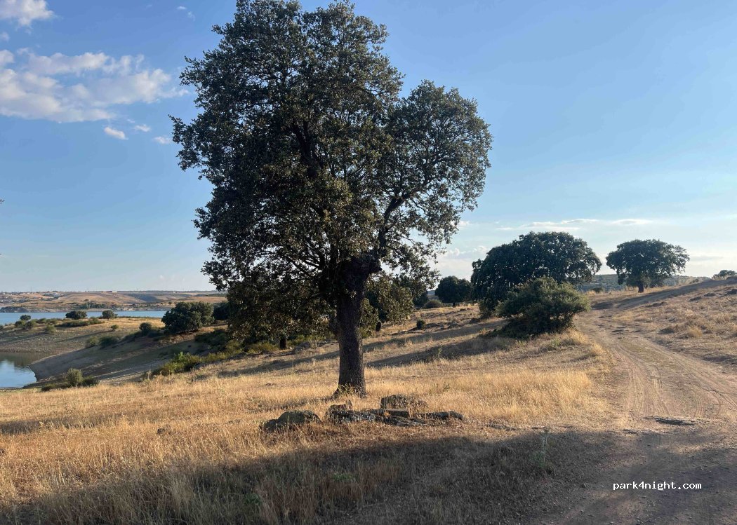 (49183) Almendra del Pan - — foto 3