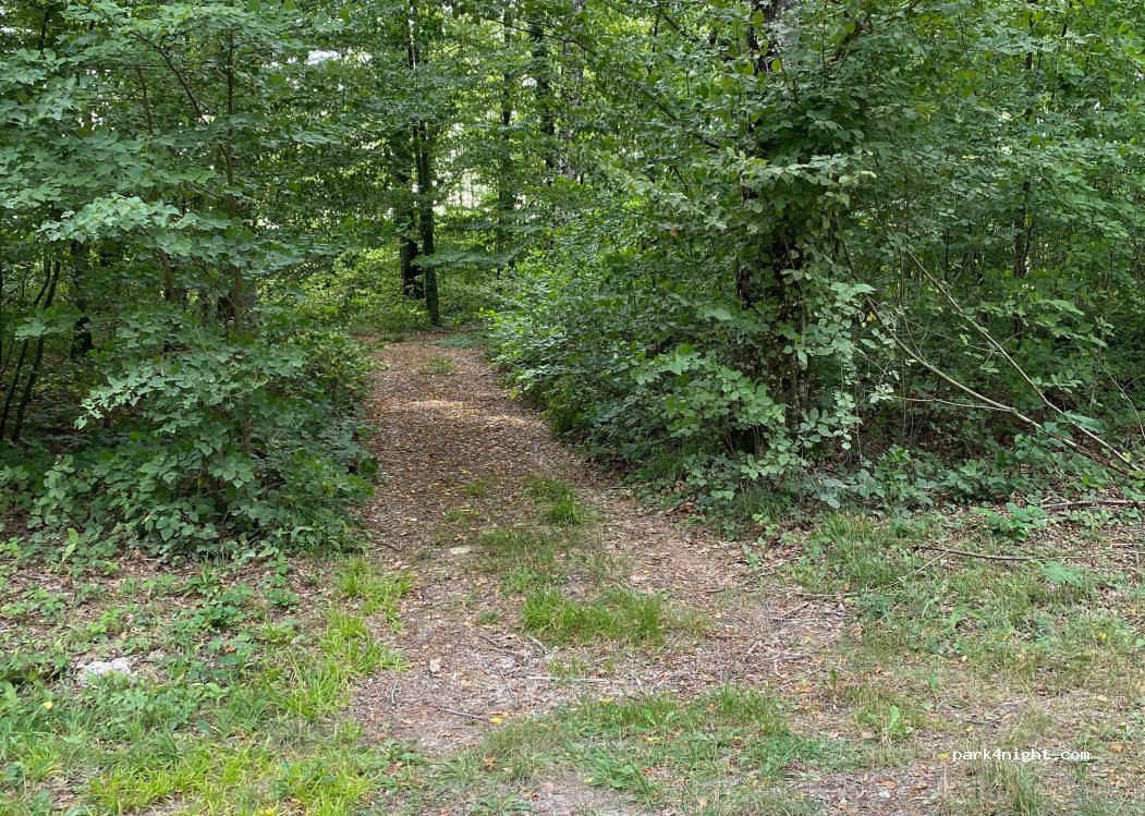 (52290) Éclaron-Braucourt-Sainte-Livière - Unnamed road — foto