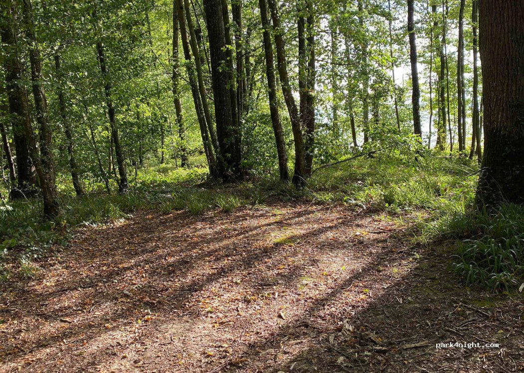 (52290) Éclaron-Braucourt-Sainte-Livière - Unnamed road — foto 2