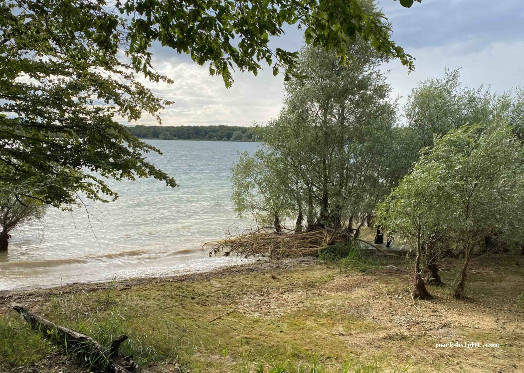 (52290) Éclaron-Braucourt-Sainte-Livière - Unnamed road — foto 3