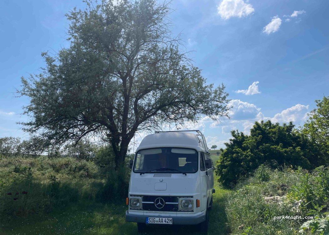 Syringa Kräutergärtnerei GbR — foto