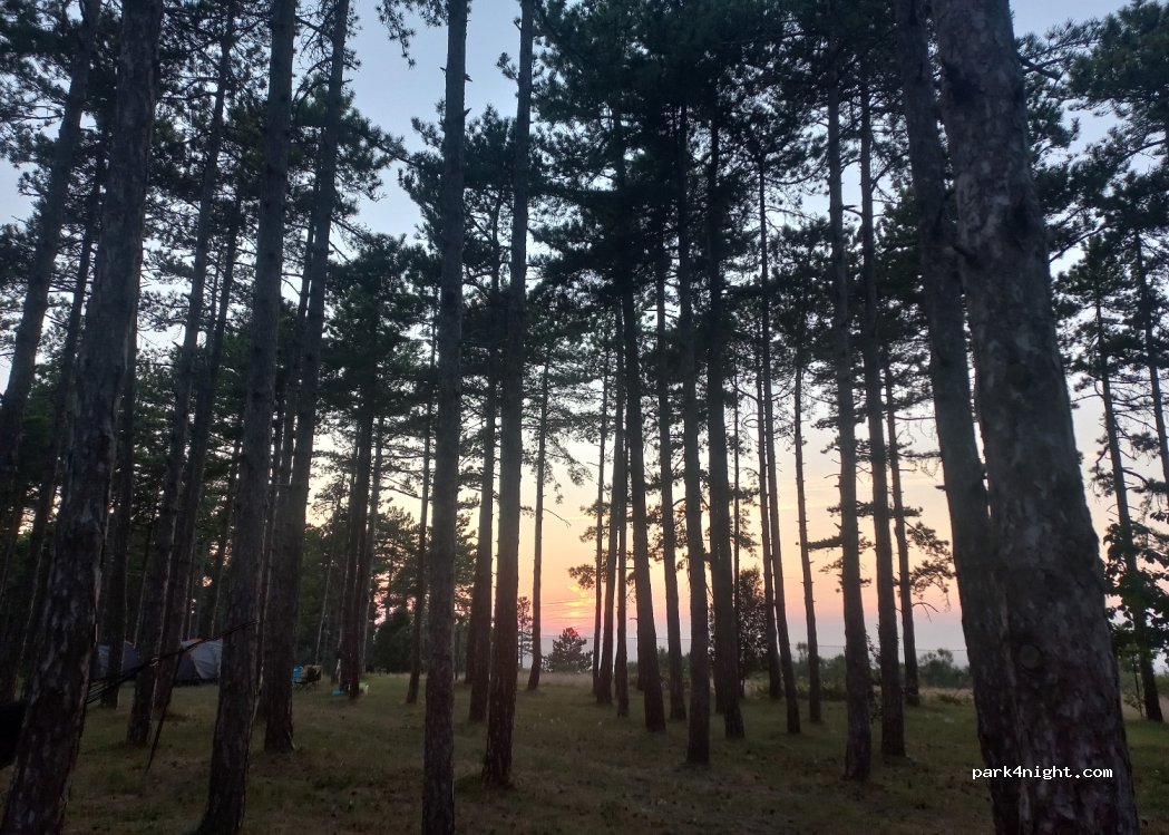 Agricamping La Pineta — foto