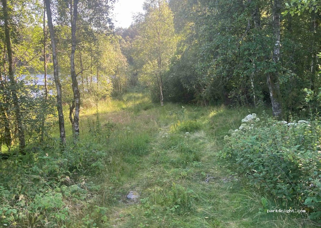 (4480) Kvinesdal - 465 — foto 2