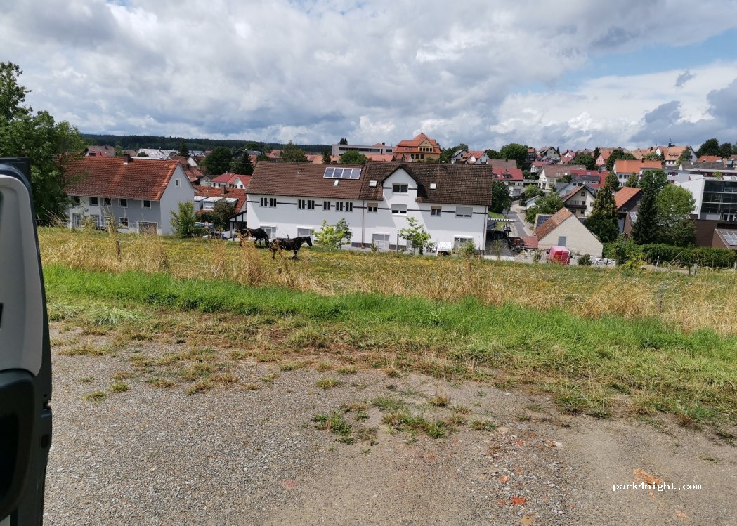 (78655) Dunningen - 1 Pfarrer-Schmider-Weg — foto