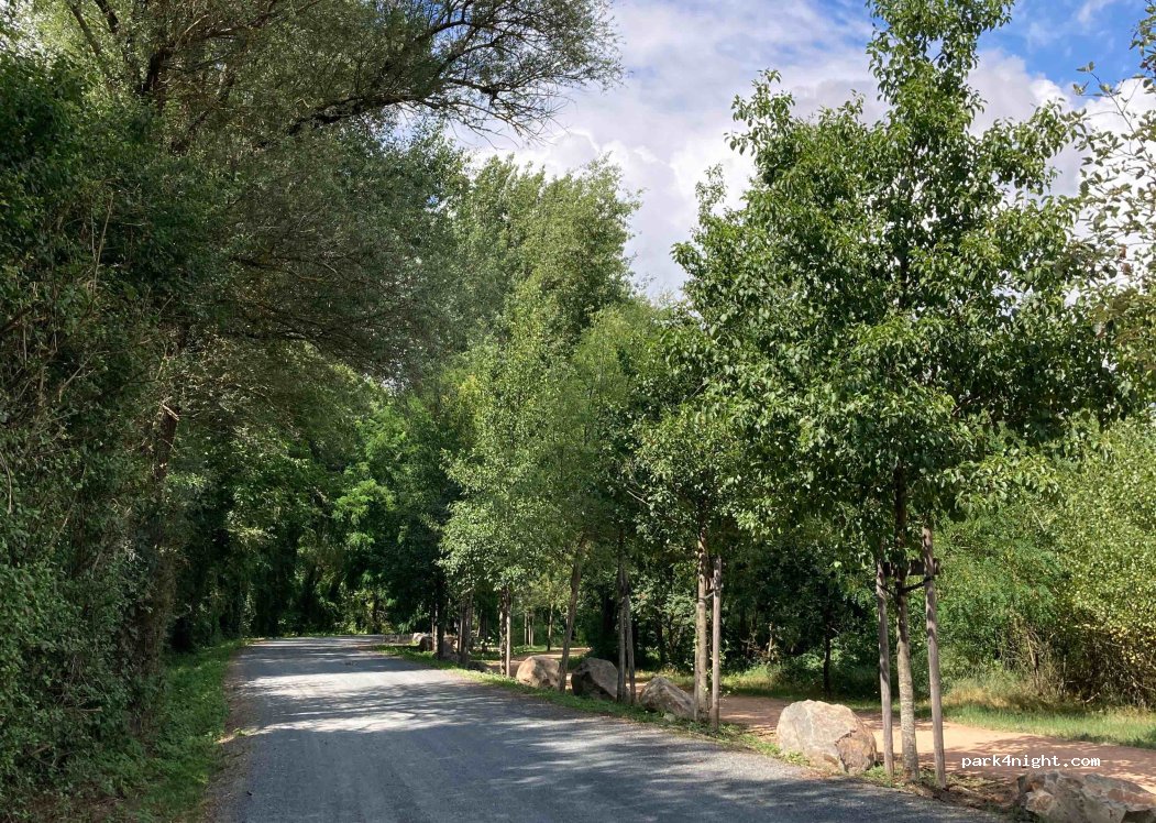 (03260) Saint-Rémy-en-Rollat - Unnamed Road — foto 3