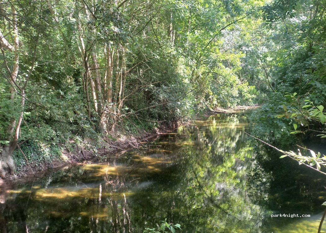 (17470) Nuaillé-sur-Boutonne - — foto