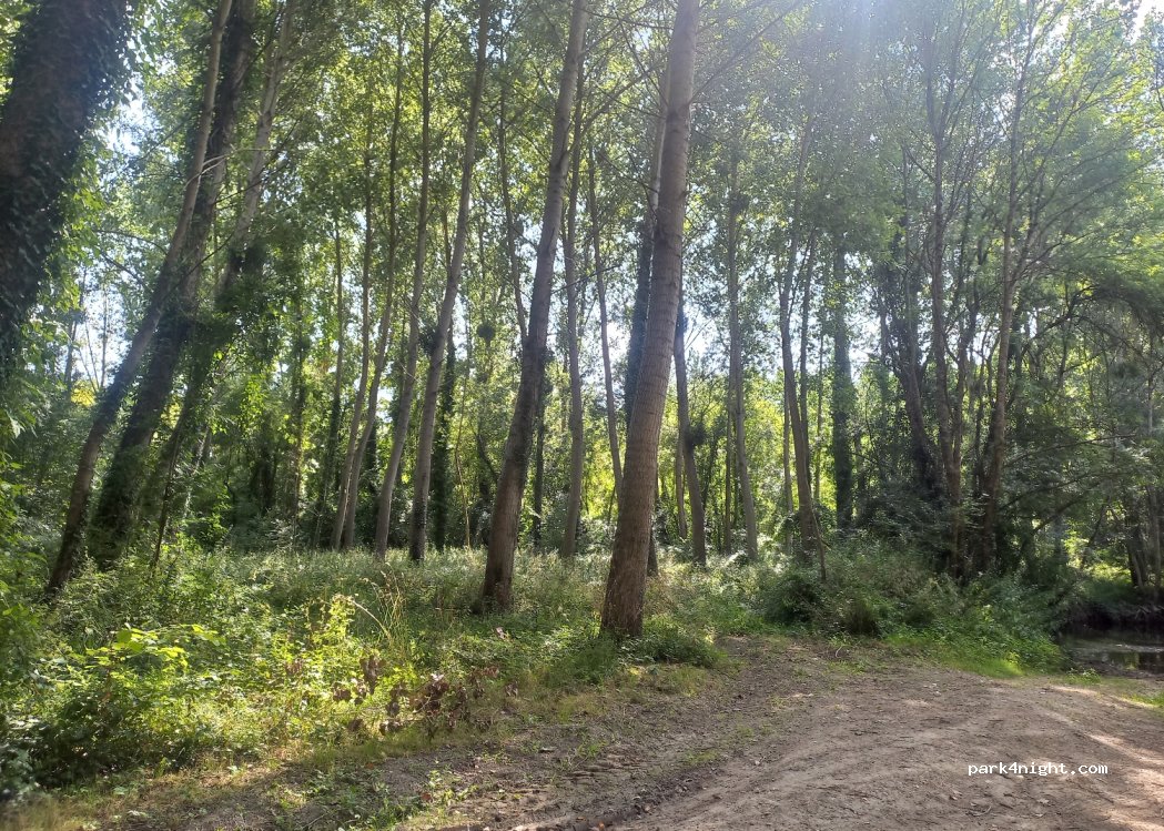 (17470) Nuaillé-sur-Boutonne - — foto 3