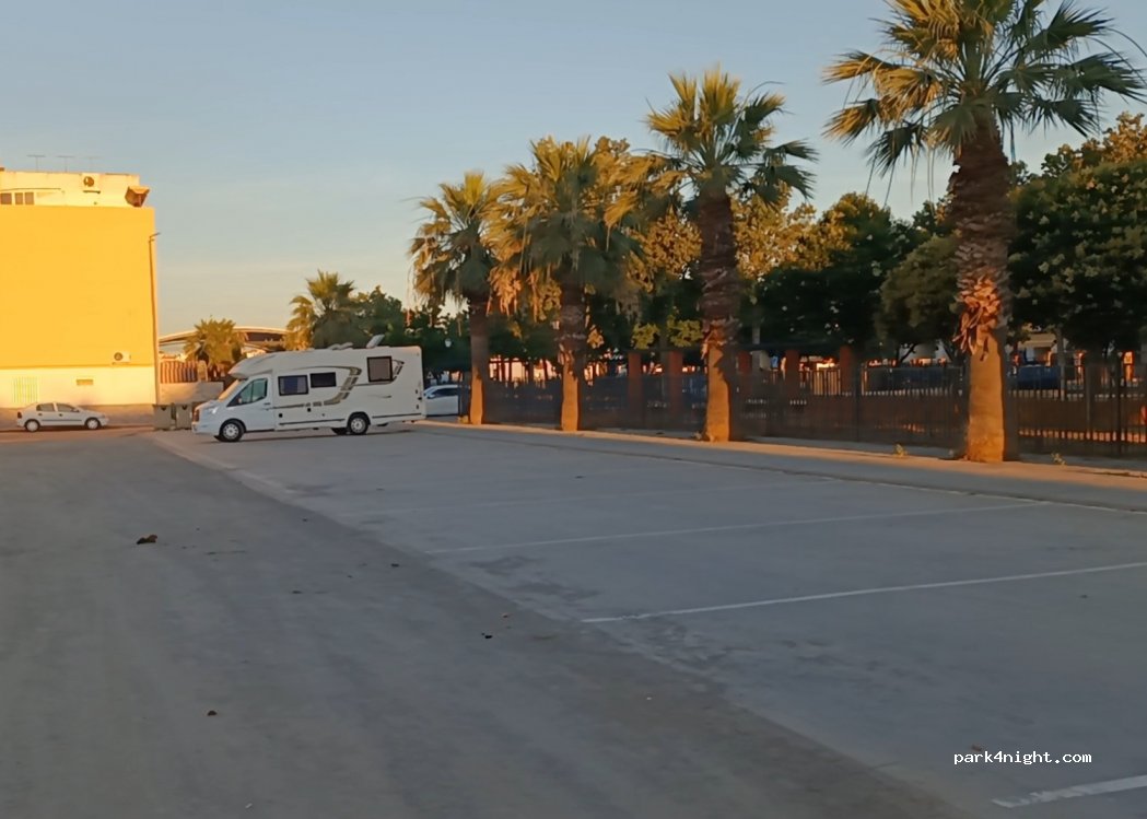 (41440) Lora del Río - 7 Calle Ciruelo — foto 3