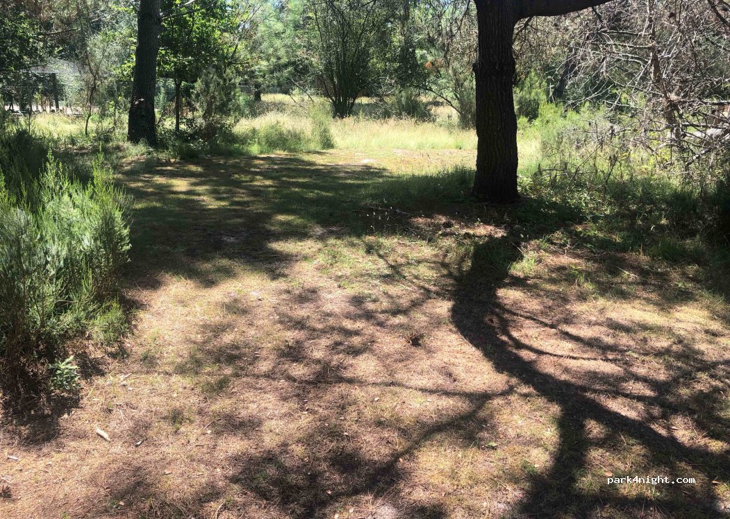 Terrain sécurisé en pleine nature — foto 2