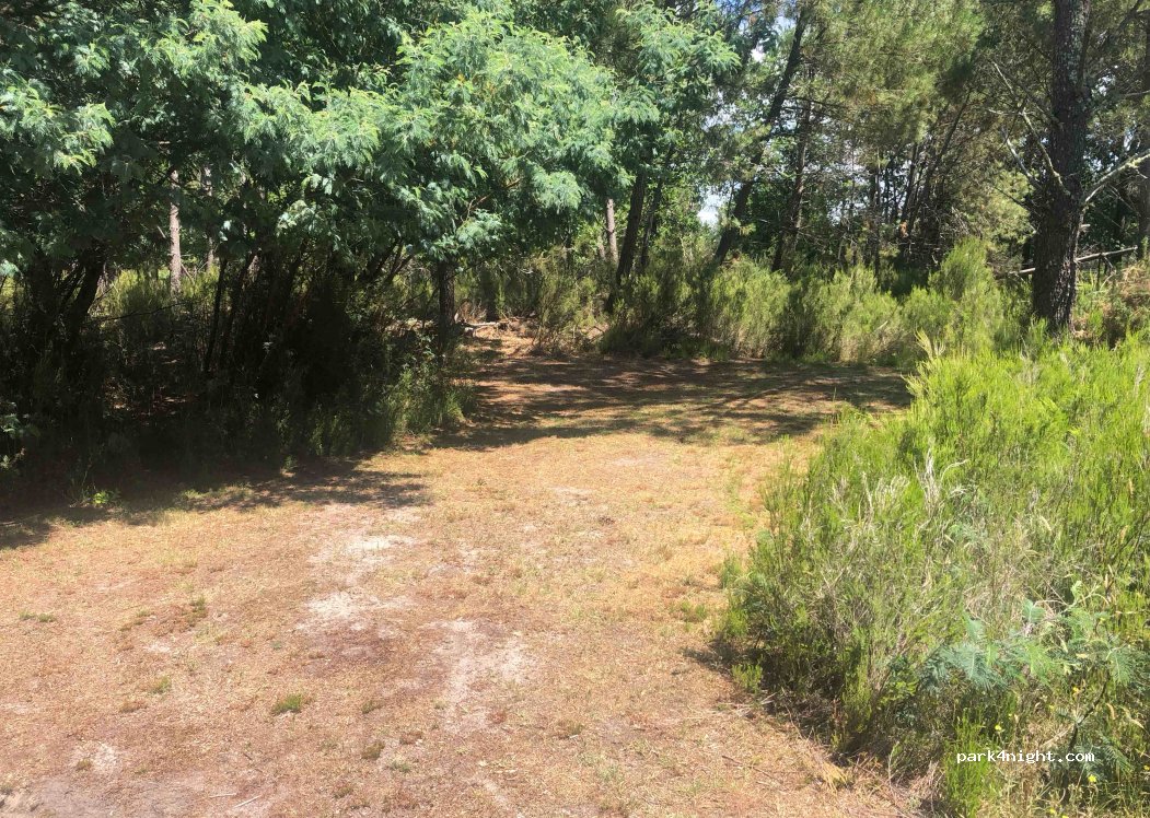 Terrain sécurisé en pleine nature — foto 3