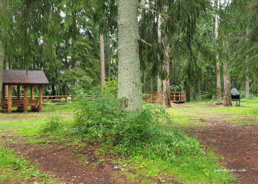 (41104) Jõuga - Jõuga-Raudi — foto 3
