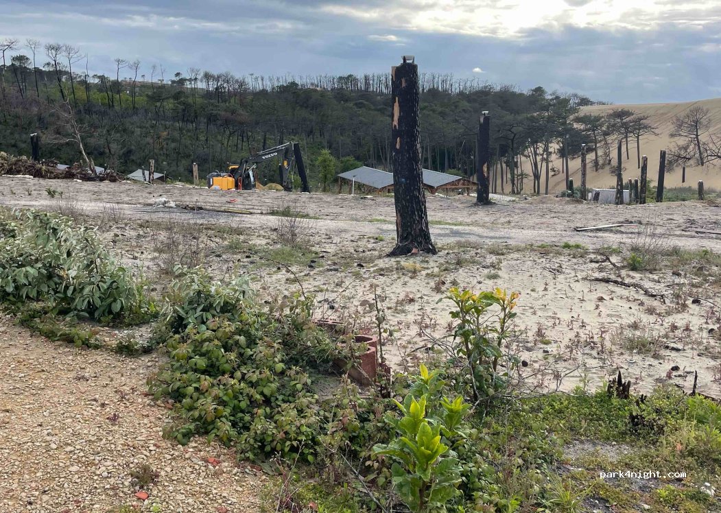 Pyla Camping — foto 4
