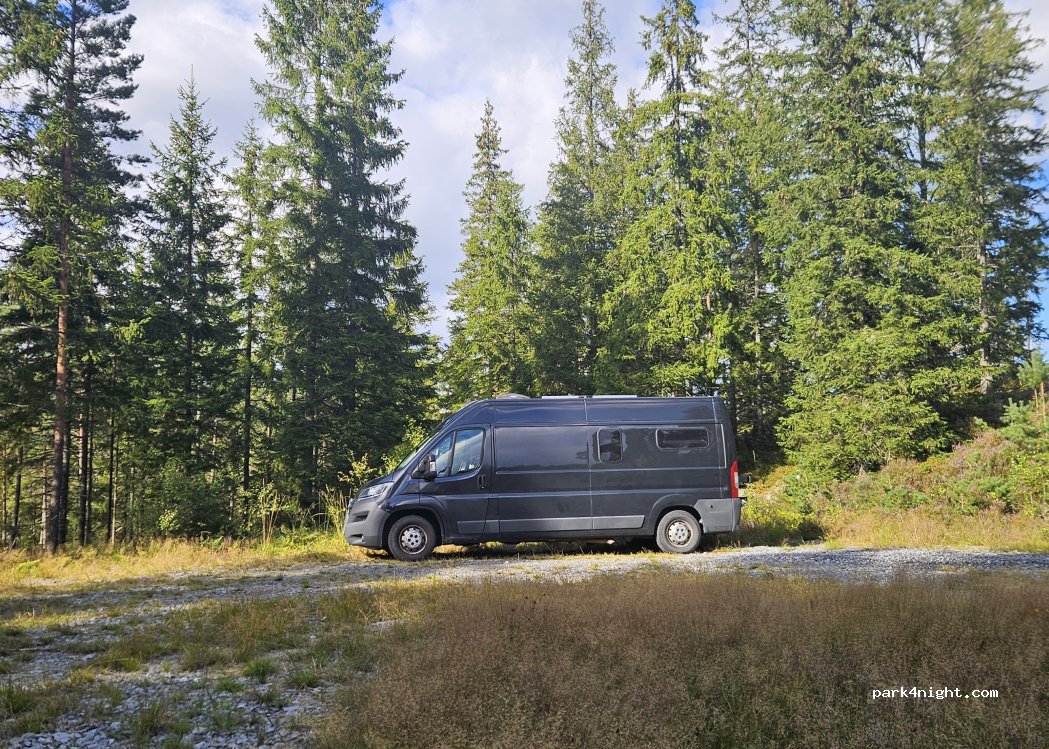 (457 50) Bullaren - — foto